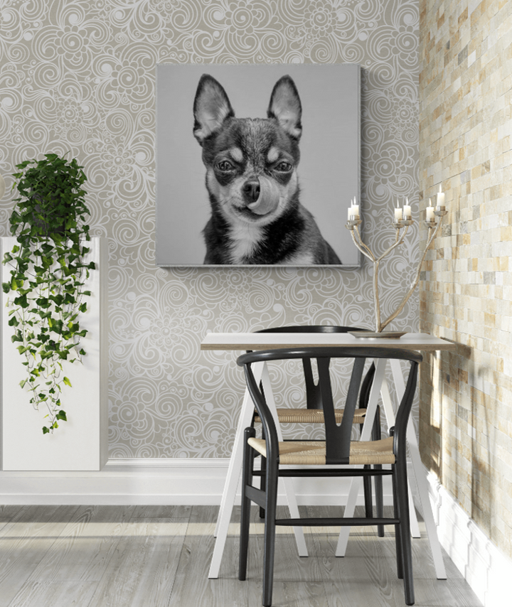 Chihuahua Dog - Black & White