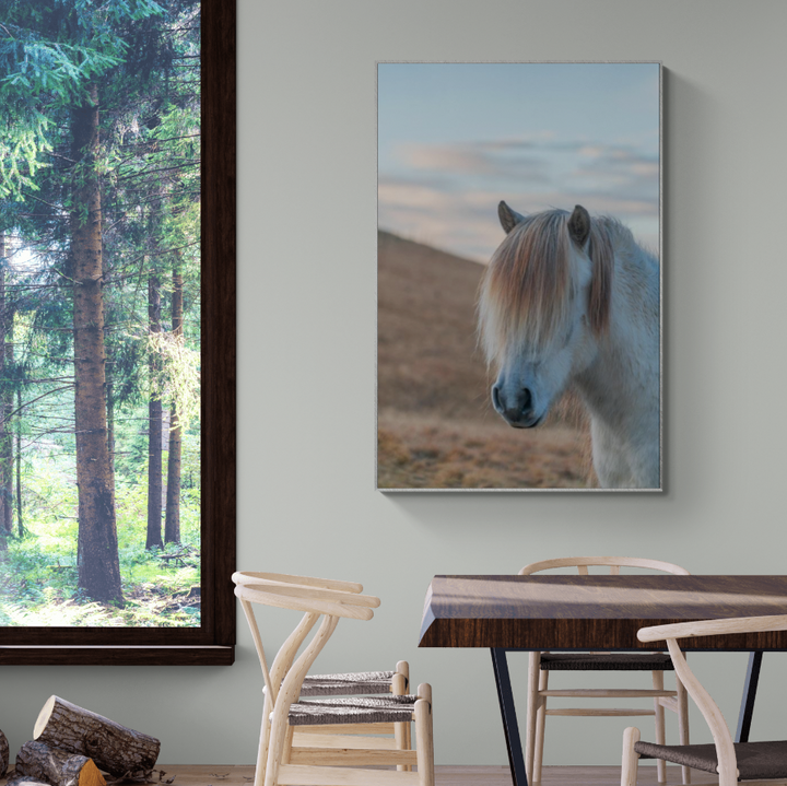 Icelandic Horse
