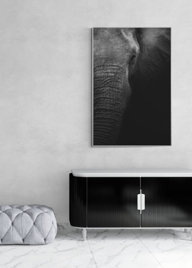 Elephant Side Profile