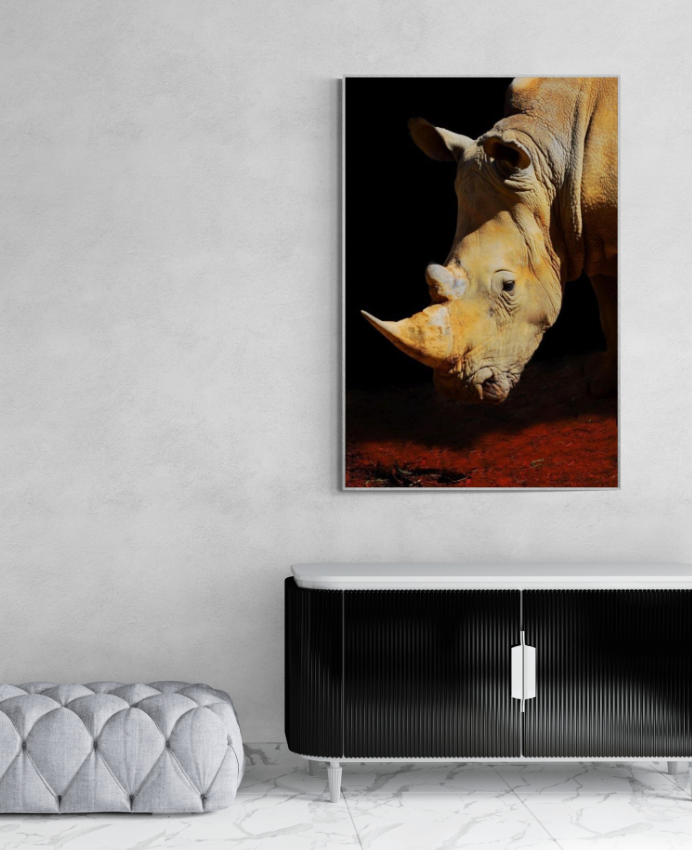 Rhinoceros