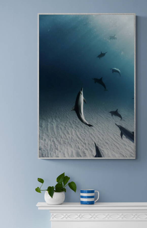 Dolphins Underwater