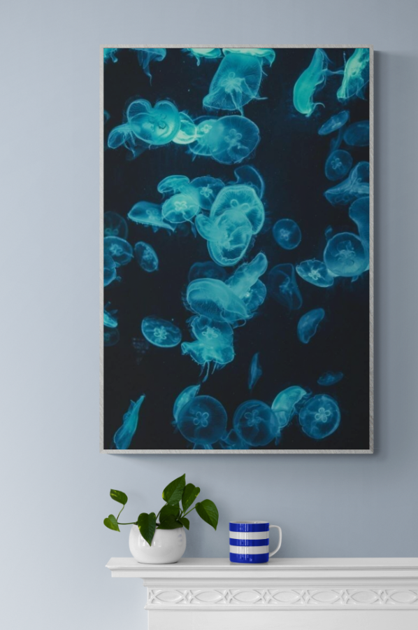 Blue & Black Jellyfish