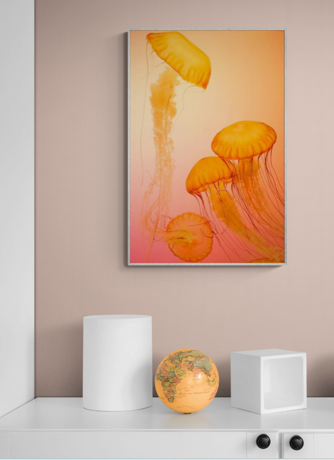 Orange Jellyfish