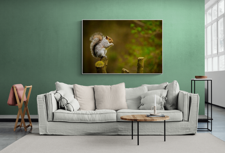 Sitting Squirrel