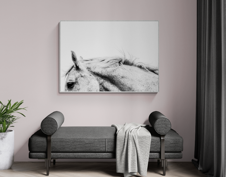 Grey Horse Profile