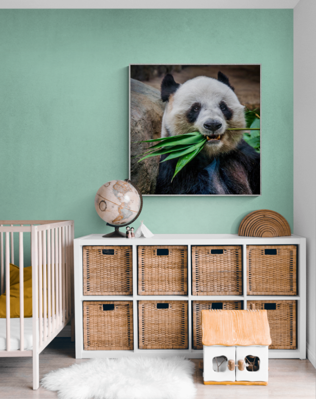 Panda Bear with Bamboo