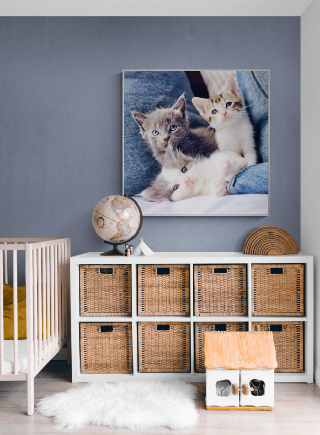 Trio of Kittens