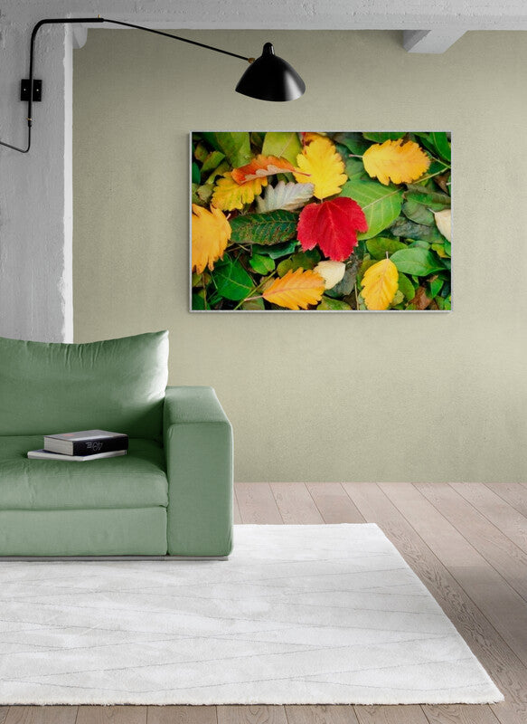Seasonal Themed Wall Art Ideas: Vibrant Autumn Leaves Collection
