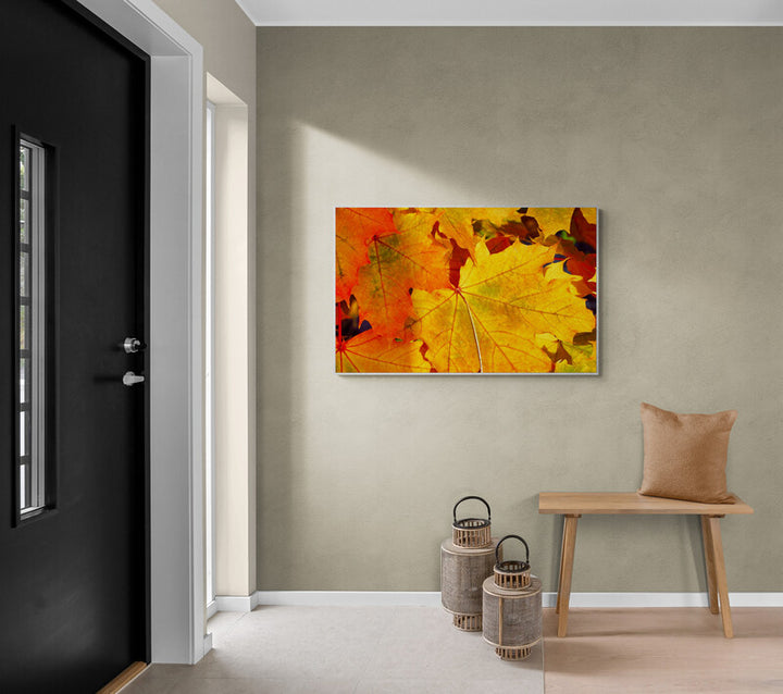 Seasonal Wall Art Ideas:  Vibrant Autumn Maple Leaves