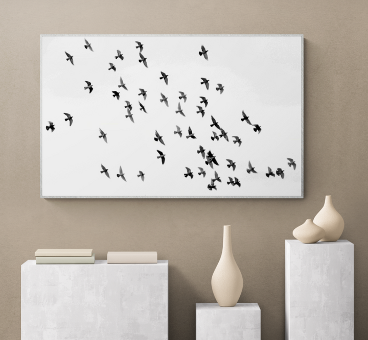 Flock of Flying Birds