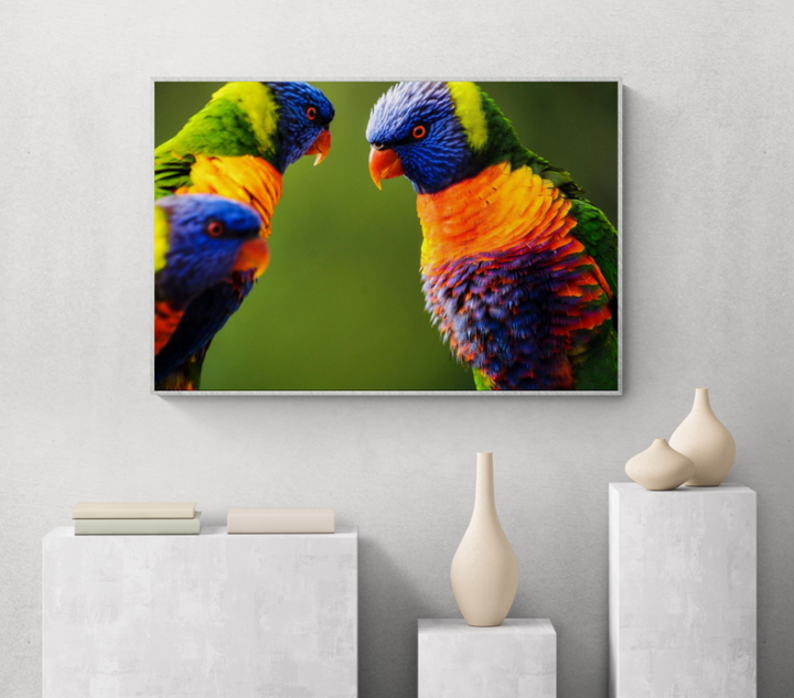 Animal Themed Wall Art Ideas: Rainbow Lorikeets