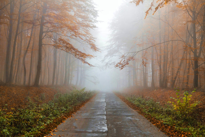 Elblag, Poland Autumn Fog