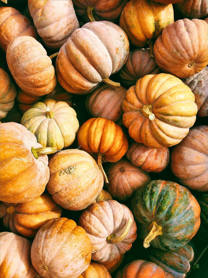Pumpkins & Squash