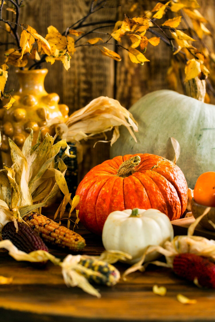 Pumpkins & Corn