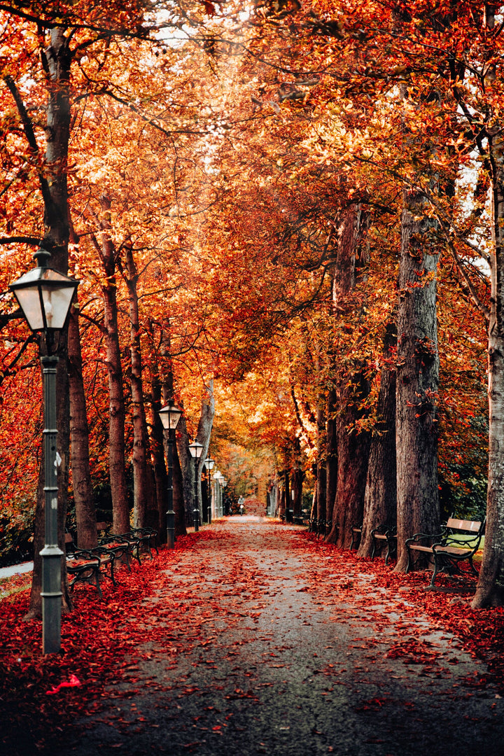 Autumn in Graz, Austria