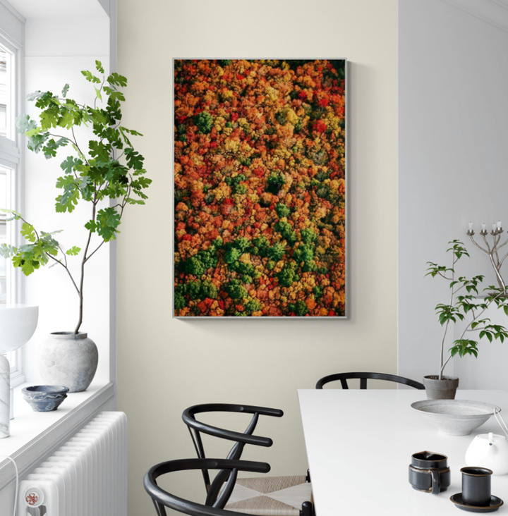 Seasonal Wall Art Ideas:  Autumn Forest in Autumn/Fall