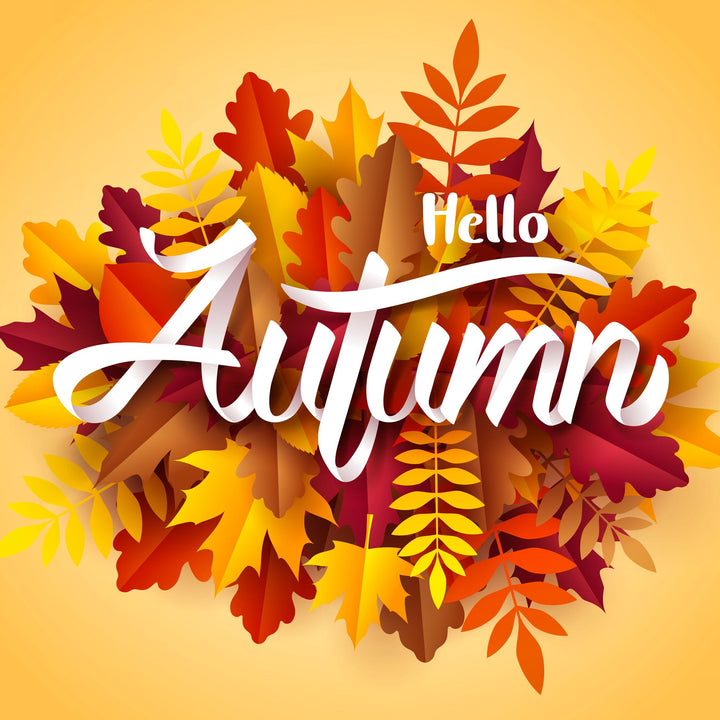 Hello Autumn Illustration