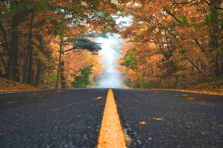 Autumn Colours Road