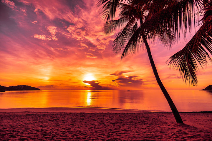 Caribbean Beach Sunset