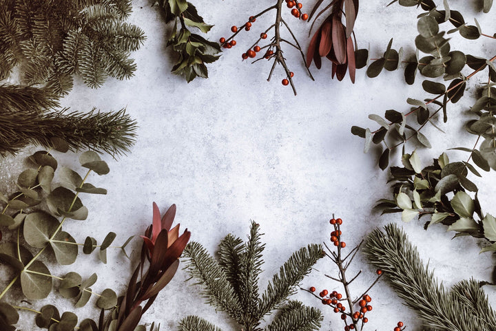 Christmas Background, Pine & Berries