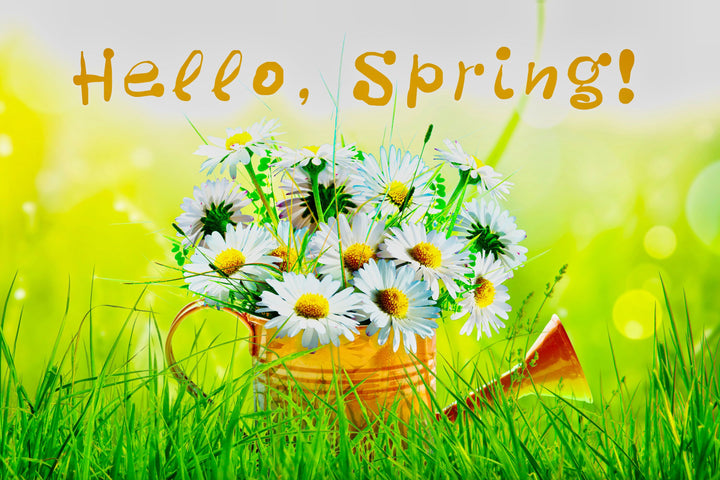 Hello Spring!