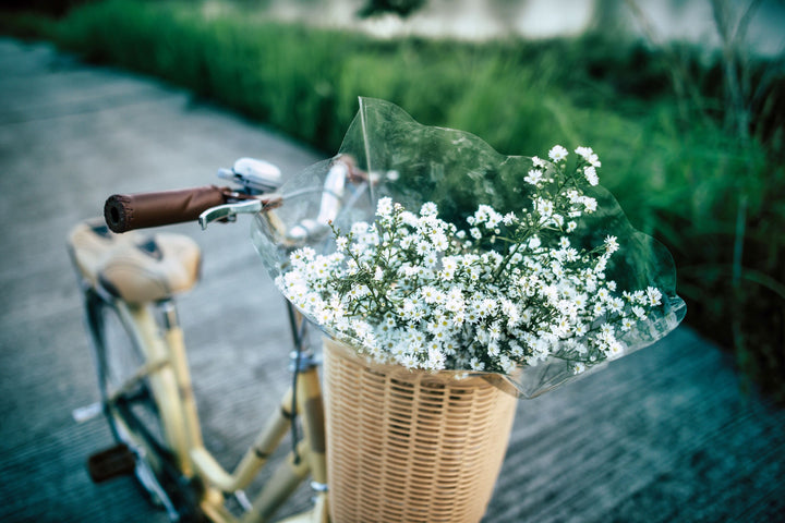 Vintage Bicycle with Spring Flowers