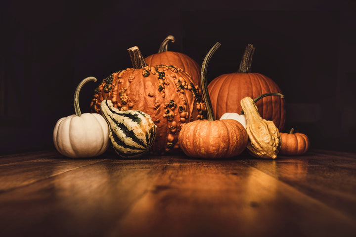 Pumpkins & Gourds on Black