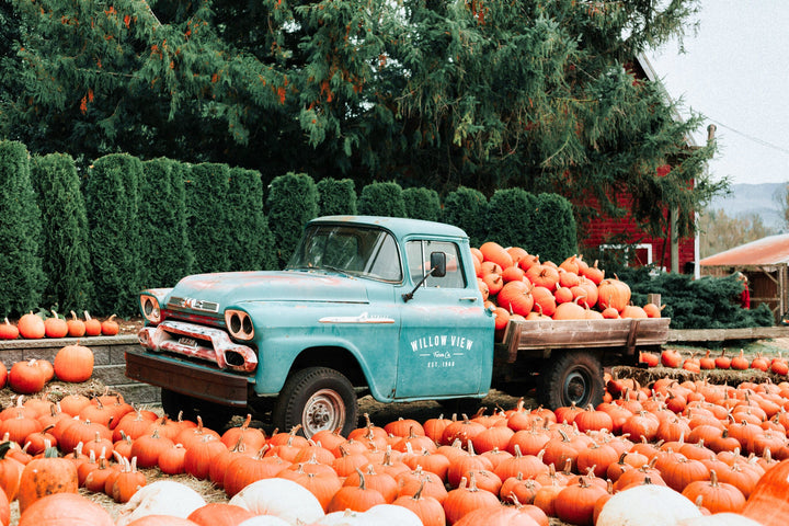 Vintage Pick up Truck & Pumpkins