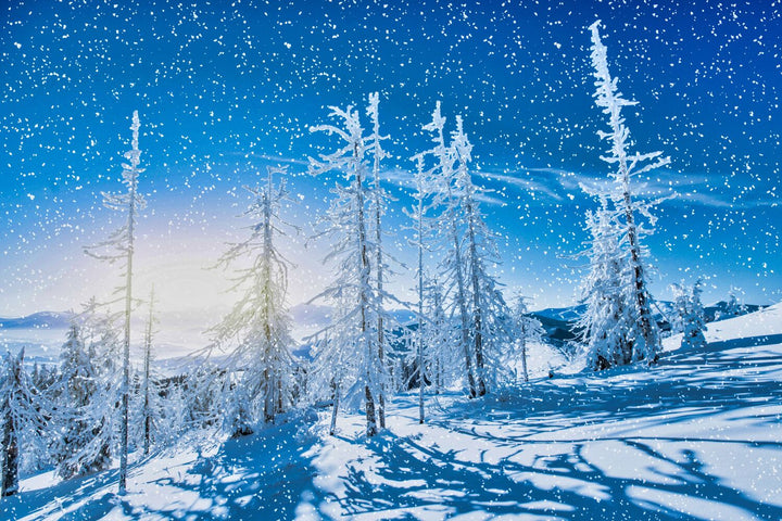 Snowy Carpathian Mountains Ukraine