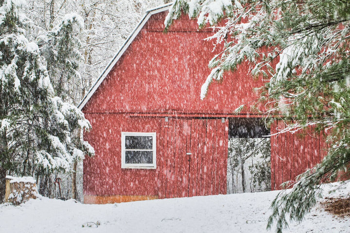 Country Barn in the Snow